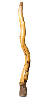 Heartland Didgeridoo (HD462)